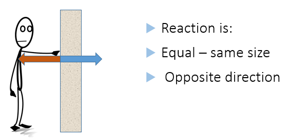 Newton's Laws of Motion, figure 1