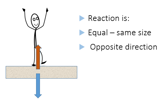 Newton's Laws of Motion, figure 2