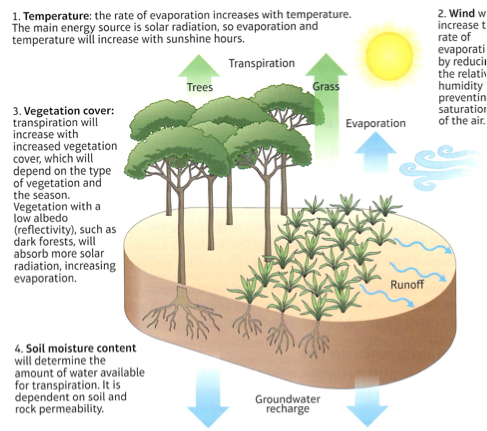 Drainage Basins – A Level Geography Edexcel Revision – Study Rocket