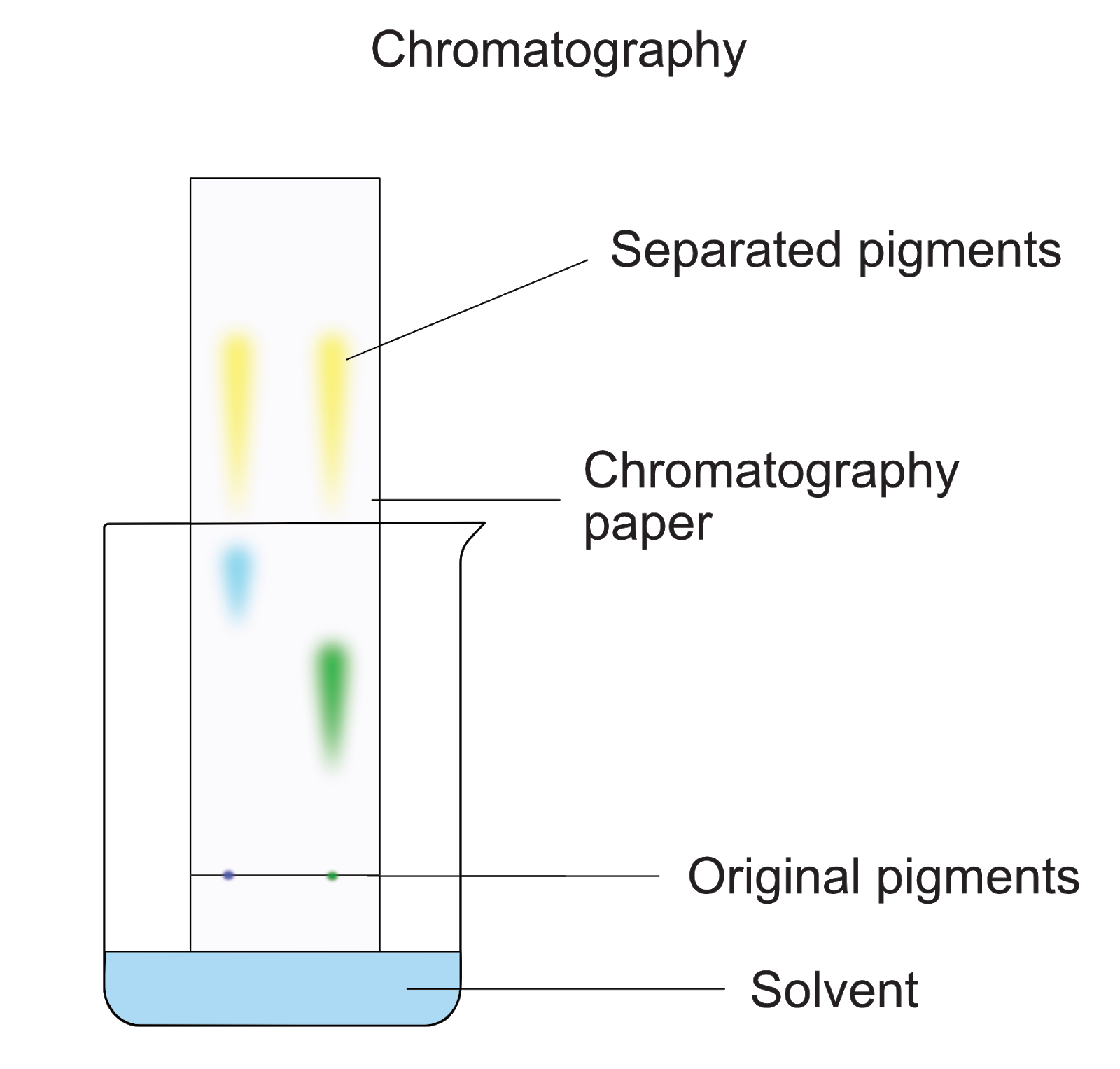 Chromotagraphy, figure 1