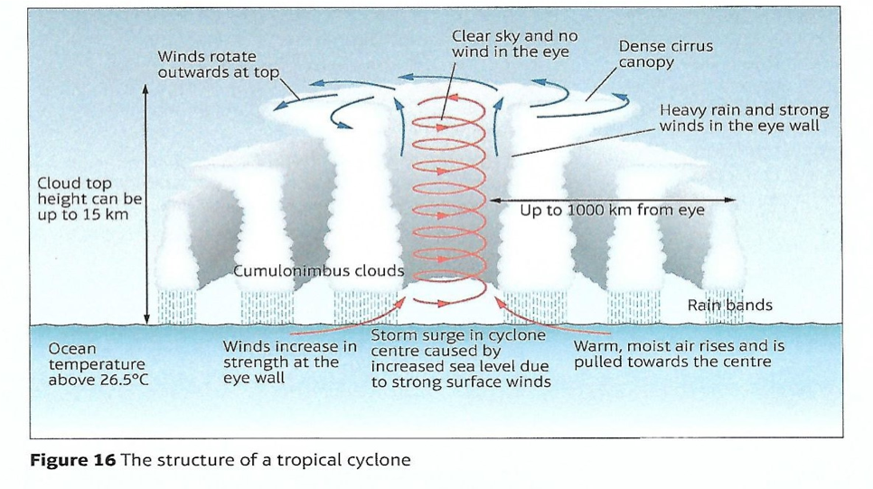 √ Tropical Cyclone Diagram : Causes Of Tropical Cyclones Geography Myp ...