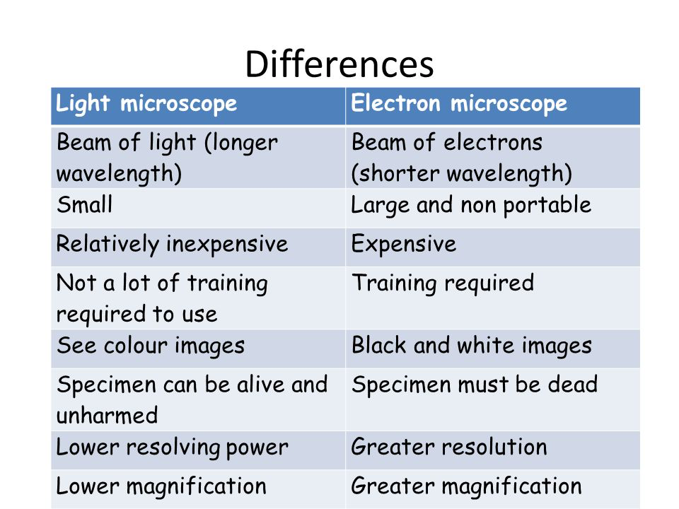 Microscopy, figure 1