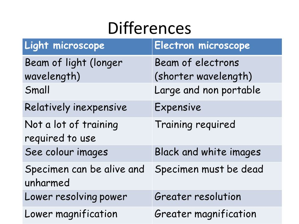 Microscopy – GCSE Biology (Combined Science) Edexcel Revision – Study ...