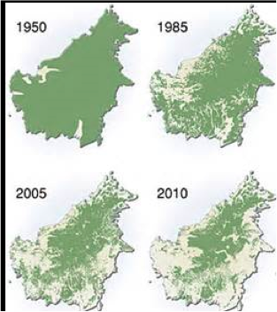 Taiga Biome  Definition, Threats & Human Impact - Video & Lesson