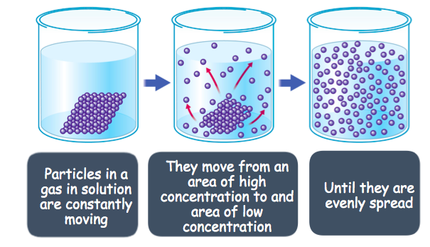 stable-diffusion