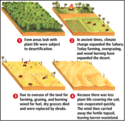 Human Causes of Drought, figure 1