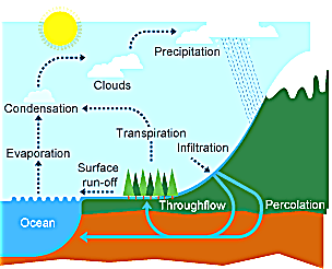 Natural Cycles, figure 1