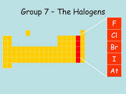 Group 7, figure 1