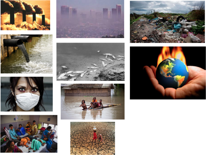 Environmental Impacts of Development in India, figure 1