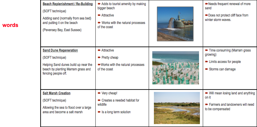 geography coastal management case study