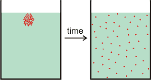 Transport in Cells, figure 1
