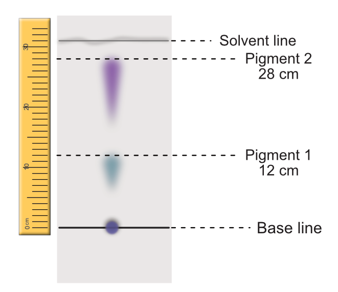 Chromotagraphy, figure 2