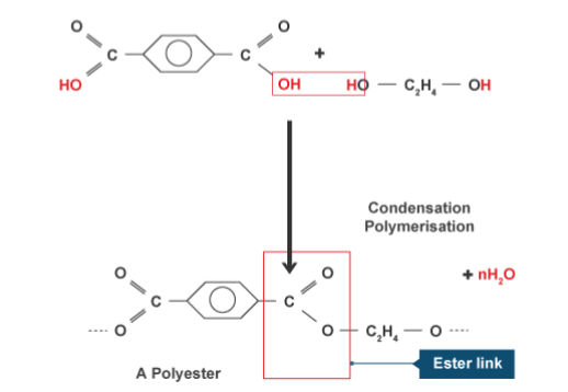 Condensation and Natural Polymers, figure 1