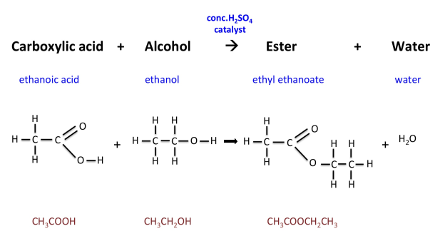 Alcohols and Carboxylic Acids, figure 1