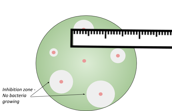 Microorganisms, figure 1