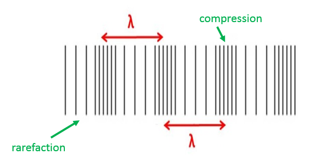 Longitudinal Wave Labeled