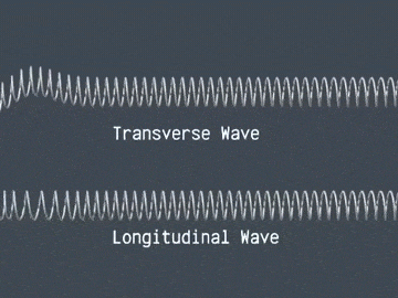 longitudinal waves travel in space